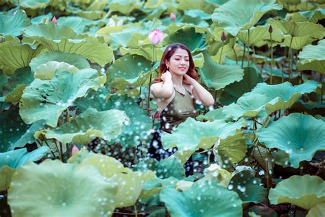 Красивая девушка азиатка в зеленых листьях лотоса обои для рабочего стола картинки фото