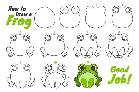 Hoe Teken Je Een Kikker Tekenen Frog Drawing Basic Dr