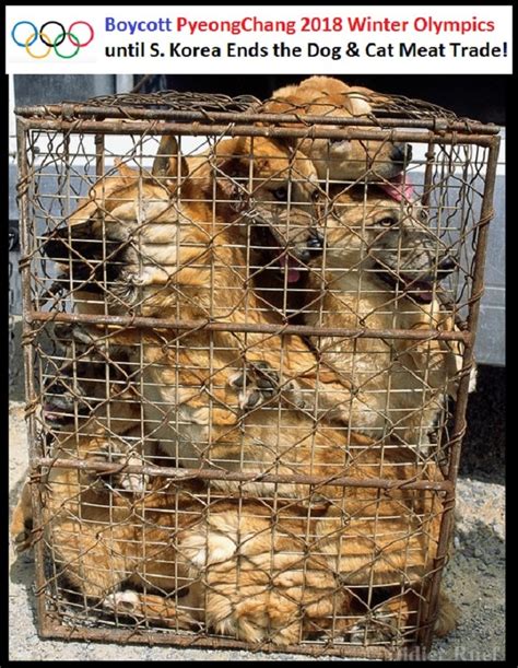 50 Best Stop Dog And Cat Meat Trade Sign Petitions For