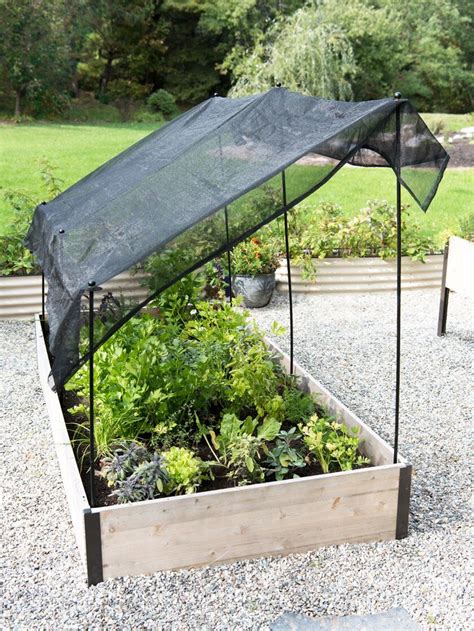 Vegetable Garden Shade Structures Margene Pulido