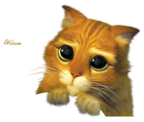 sad cat eyes png free logo image
