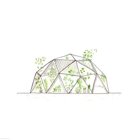 dome drawing