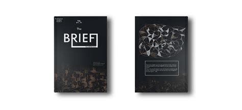 The Brief in Architecture | Architecture Student Guide | Architecture books, Architecture ...