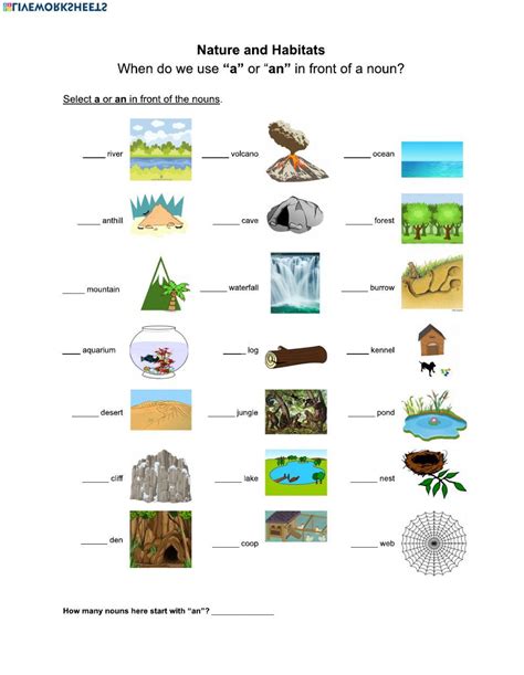 Nature And Habitat Worksheet Live Worksheets