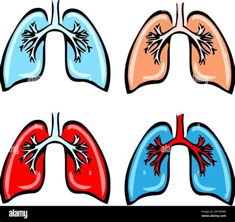 Anatomie Pulmonaire Bronches Illustration Médicale Humaine Emblème 4