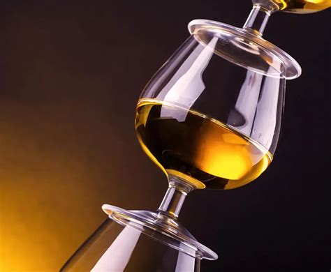 21 Best Cognac And Brandy Glasses