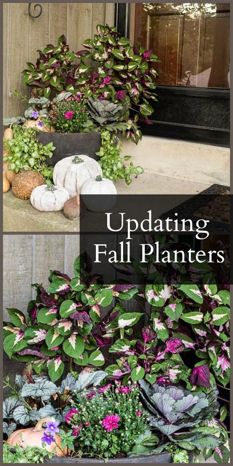 Ideas For Updating Your Fall Planter