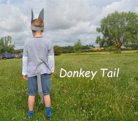 Home Made Donkey Costume Pinkoddys Blog