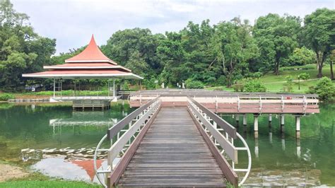 The reservoir was completed in 1868 by impounding water from an earth embankment, and was then known as the impounding reservoir or thomson reservoir. What You Need to Know About Our "New" MacRitchie Reservoir ...
