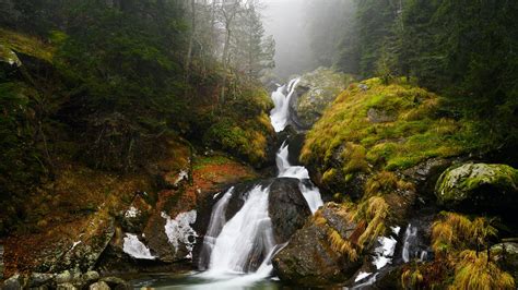 Waterfall Stream Between Grass Covered Rocks Trees Forest Hd Nature