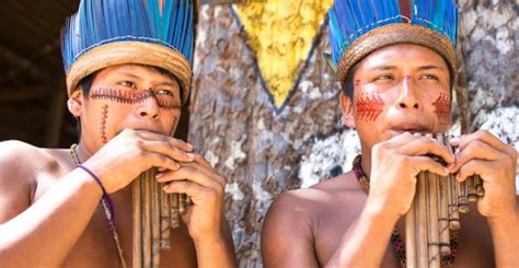 Estudo Inédito Do Ibge Revela Diversidade Cultural Dos Indígenas