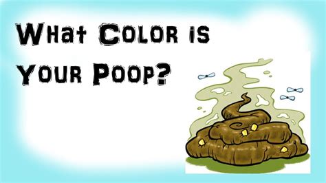 What Do The Different Colors Of Your Poop Mean The Meaning Of Color