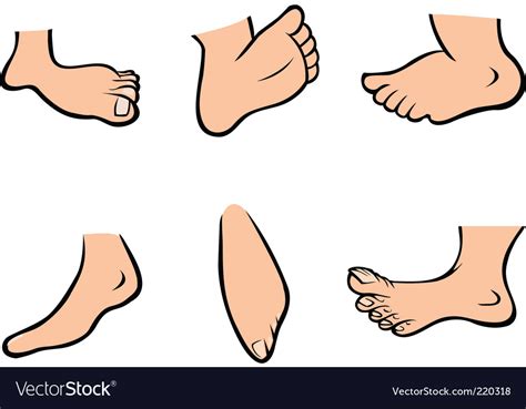 Feet Collection Royalty Free Vector Image Vectorstock