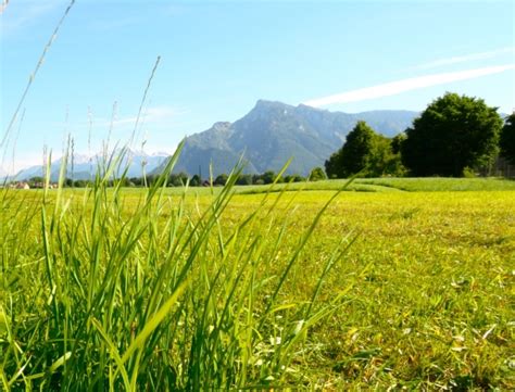 Europäische kulturhauptstadt des jahres 2024. Immobilien im Salzburger Stadtteil Riedenburg - Team Rauscher