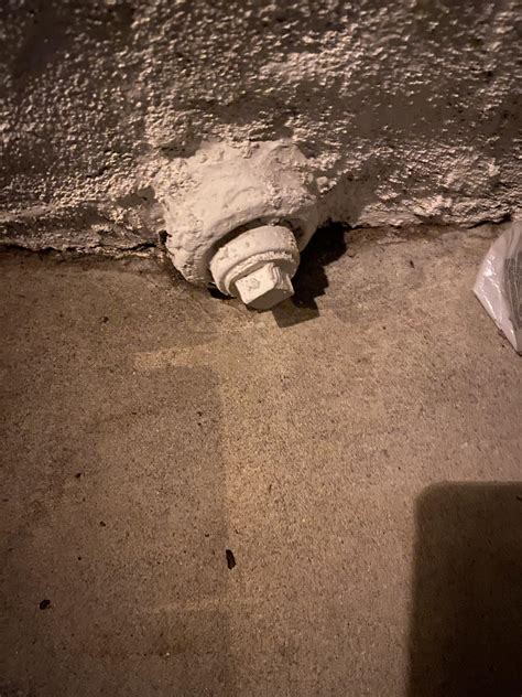 Drain Pipe Capped White Pipe On Outside Of House Rwhatisthisthing