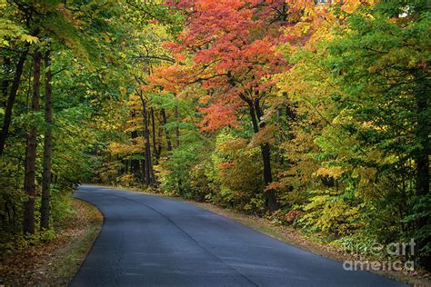 Fall Color Brown County State Park Indiana Photograph By Gary