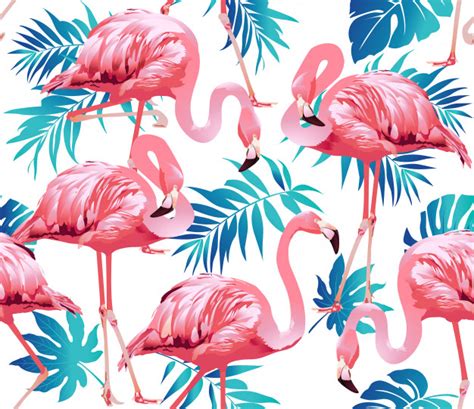 Flamingo Background Vector At Collection Of Flamingo