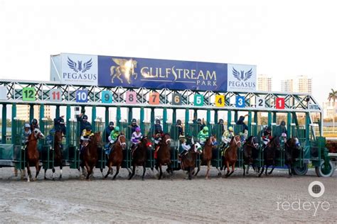 Pegasus World Cup Invitational 2017 At Gulfstream Park World Red Eye