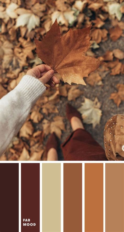 brown autumn leaf color { autumn color inspiration } autumn leaf color brown color palette