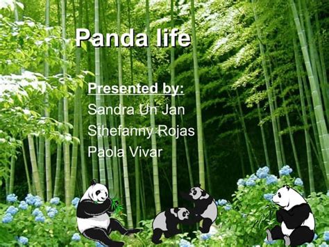 Panda Powerpoint Ppt