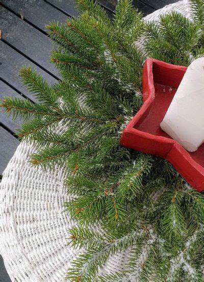 Preserve Fresh Evergreen Branches For Christmas The Peaceful Haven