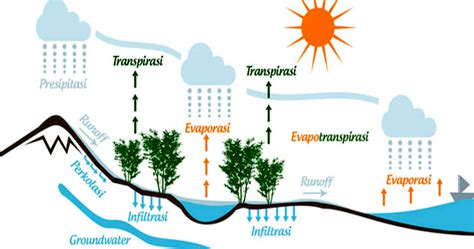 Siklus Hidrologi Pengertian Proses Terjadinya Dan Macam Materi