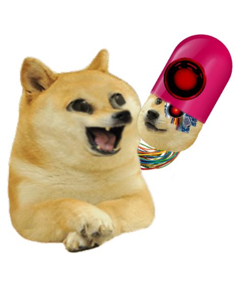 Doge Png Baby Lift Your Spirits With Funny Jokes Trending Memes