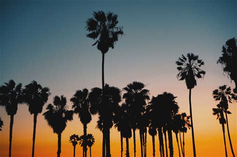 5 Beautiful Sunset Pics of Los Angeles #GoldenHour - Viki Secrets