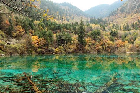 Five Flower Lake Jiuzhaigou National Park Rize Happy Travels China
