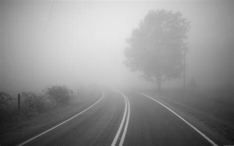Wallpaper Trees Road Morning Mist Atmosphere Haze Light Fog
