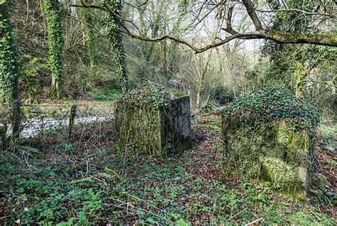 Melbury Abbas North Dorset Area Information Map Walks And More