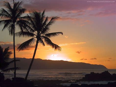Oahu Sunset Wallpapers 4k Hd Oahu Sunset Backgrounds On Wallpaperbat