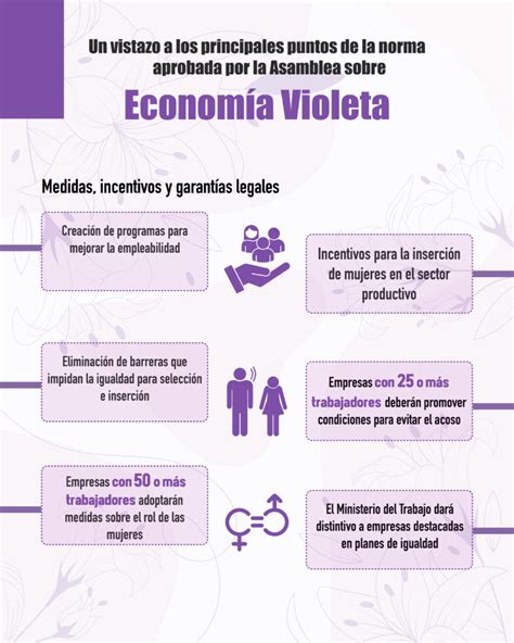 Ley de Economía Violeta abre nuevas oportunidades para mujeres