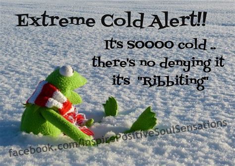 Its So Cold Warning No Kidding Cold Quotes Cold Weather Funny