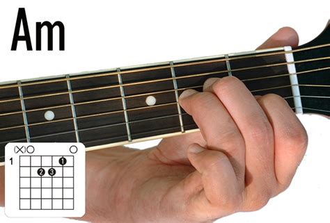 The First Real Chords Guitarplayerbox