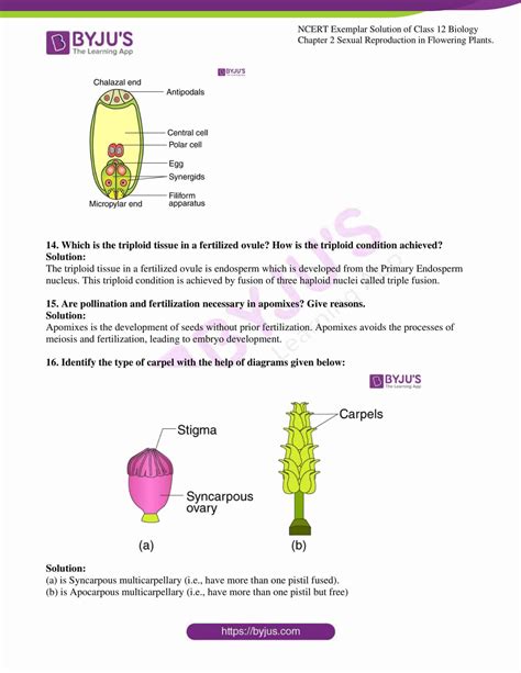 Ncert Solutions For Class 12 Biology Chapter 8 Human Health And