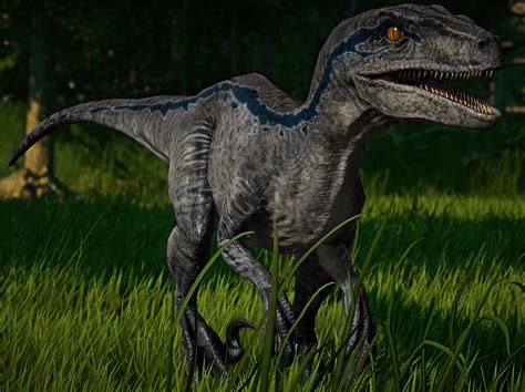 Dinosaurs Jurassicworld Velociraptor Raptor Blue Sexiezpicz Web Porn