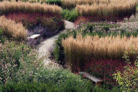 See more ideas about grassland, prairie, landscape. tall wheat grass along a property border with purple in ...