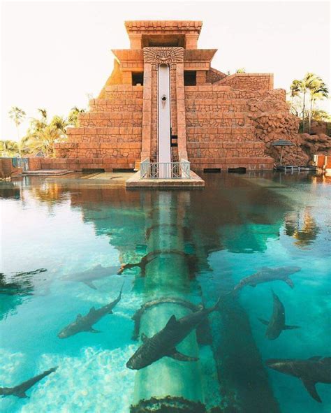 Atlantis Water Park Slide Lines Telegraph