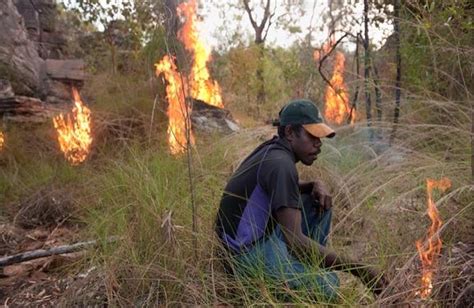 Fighting Fire With Fire Botswana Adopts Indigenous Australians