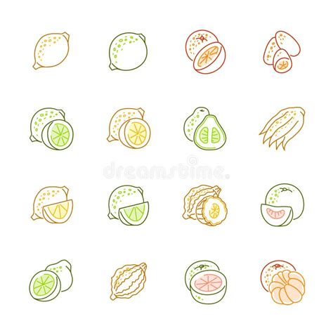 Citrus Fruits Icons Lemon Orange And Pomelo Stock Vector