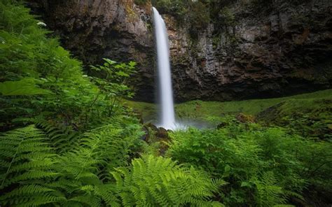 Download Wallpapers Waterfall Rocks Green Bushes Mountain Waterfall
