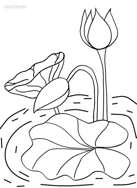 Water lily 45 water lily with reflection is a photograph by terri winkler which was uploaded on march 11th, 2012. Water lilies coloring pages download and print for free