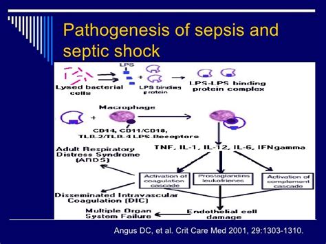Sepsis To Septic Shock