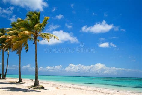 Palm Trees And Turquoise Water Stock Image Image Of Blue Cana 113991971
