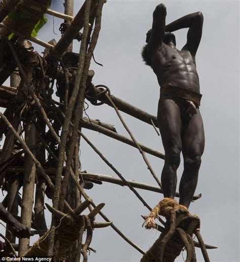 Pentecost Tribesman Indulge In Ancient Bungee Jumping Rite Of Passage