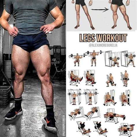 Build Your Legs Leg Workout Leg Day Workouts Bodybuilding Workouts