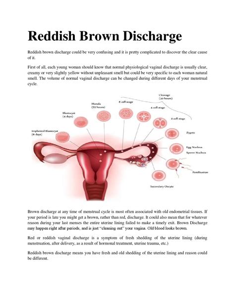 Get it properly diagnosed and treated whenever you yellow discharge before period, what could it be? Reddish brown discharge by Brown Discharge - Issuu