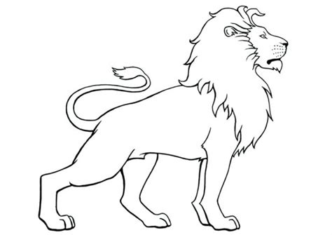 Lion Drawing For Kids At Explore Collection Of