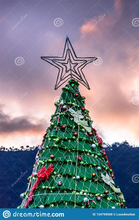 Star On Top Of Christmas Tree Against Sunset Sky Stock Photo Image Of
